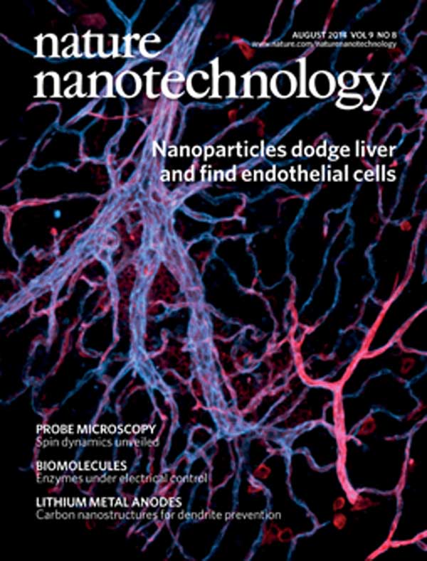 nn14