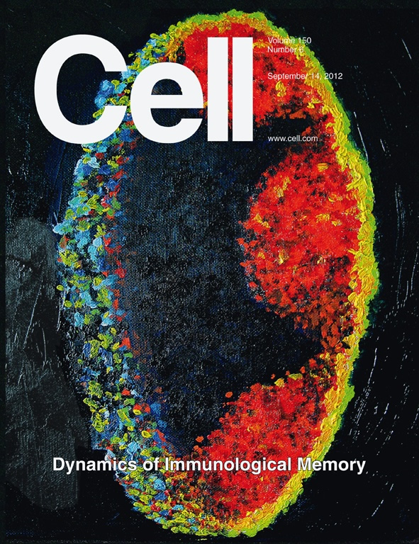 Cell